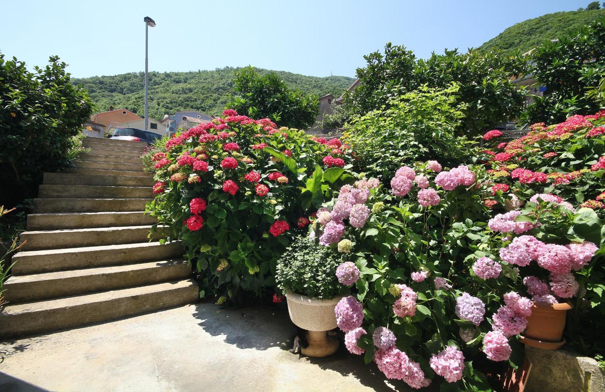 Apartments Raicevic บุดวา ภายนอก รูปภาพ